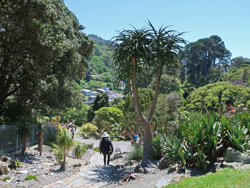 Wellington Botanic Garden, NZ