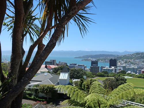 Maps of Wellington NZ and Region